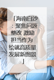 海南白沙：聚焦问题整改 激励担当作为 绘就高质量发展新图景
