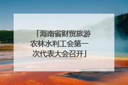 海南省财贸旅游农林水利工会第一次代表大会召开