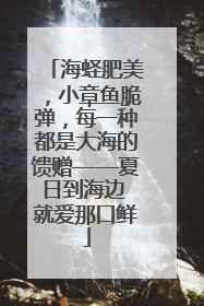 海蛏肥美，小章鱼脆弹，每一种都是大海的馈赠——夏日到海边 就爱那口鲜