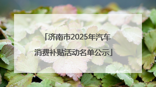济南市2025年汽车消费补贴活动名单公示