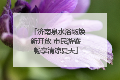 济南泉水浴场焕新开放 市民游客畅享清凉夏天