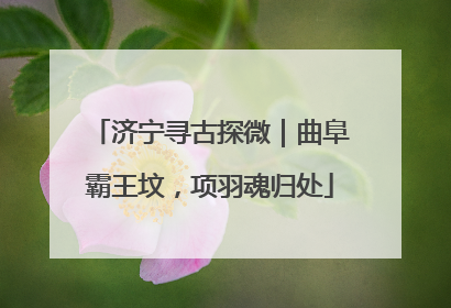 济宁寻古探微｜曲阜霸王坟，项羽魂归处