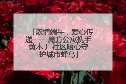 浓情端午，爱心传递——魔方公寓携手黄木 厂社区暖心守护城市蜂鸟