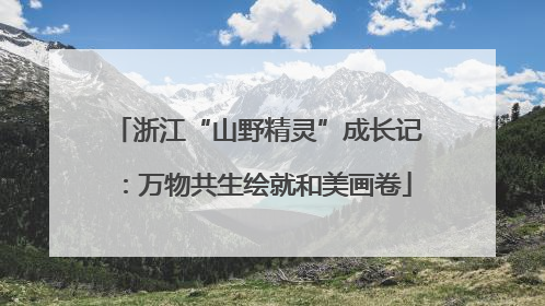 浙江“山野精灵”成长记：万物共生绘就和美画卷