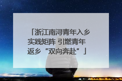 浙江南浔青年入乡实践矩阵 引燃青年返乡“双向奔赴”