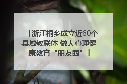 浙江桐乡成立近60个县域教联体 做大心理健康教育“朋友圈”