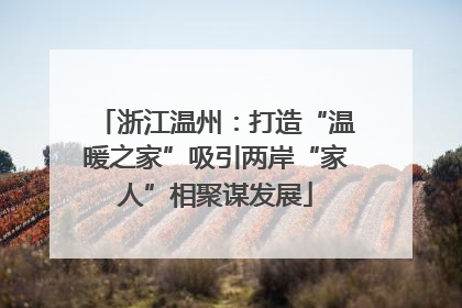 浙江温州：打造“温暖之家”吸引两岸“家人”相聚谋发展
