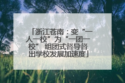 浙江苍南：变“一人一校”为“一团一校” 组团式督导督出学校发展加速度