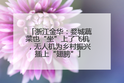 浙江金华：婺城蔬菜也“坐”上了飞机，无人机为乡村振兴插上“翅膀”