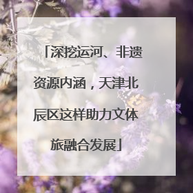 深挖运河、非遗资源内涵，天津北辰区这样助力文体旅融合发展