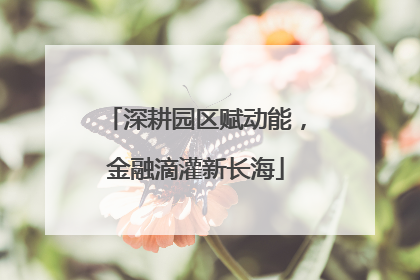 深耕园区赋动能，金融滴灌新长海