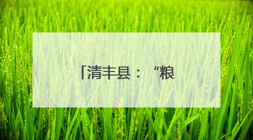 清丰县：“粮田”变“良田”村民笑开颜