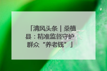 清风头条｜桑植县：精准监督守护群众“养老钱”