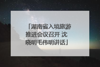湖南省入境旅游推进会议召开 沈晓明毛伟明讲话