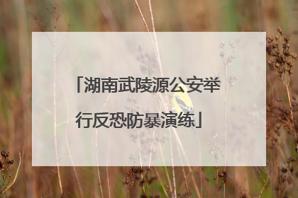 湖南武陵源公安举行反恐防暴演练
