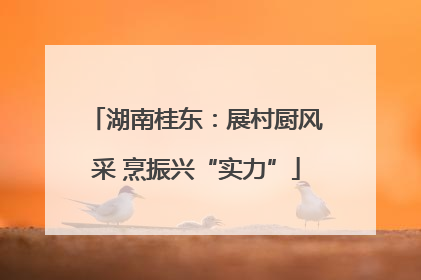 湖南桂东：展村厨风采 烹振兴“实力”