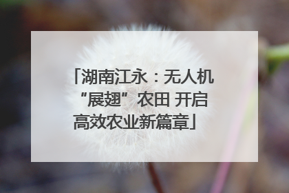 湖南江永：无人机“展翅”农田 开启高效农业新篇章