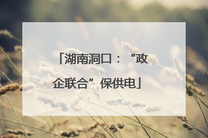 湖南洞口：“政企联合”保供电