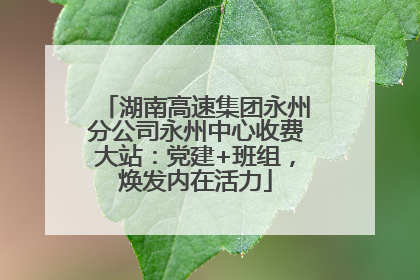 湖南高速集团永州分公司永州中心收费大站：党建+班组，焕发内在活力