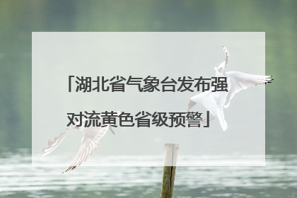 湖北省气象台发布强对流黄色省级预警