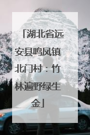 湖北省远安县鸣凤镇北门村：竹林遍野绿生金