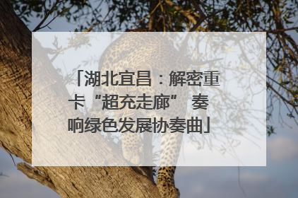 湖北宜昌：解密重卡“超充走廊” 奏响绿色发展协奏曲
