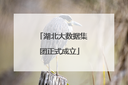 湖北大数据集团正式成立