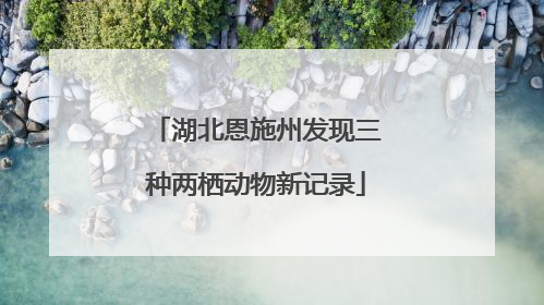 湖北恩施州发现三种两栖动物新记录