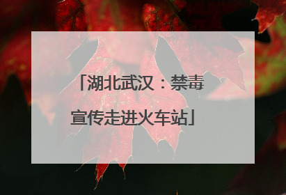湖北武汉：禁毒宣传走进火车站