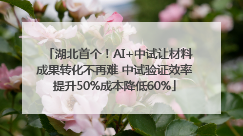 湖北首个！AI+中试让材料成果转化不再难 中试验证效率提升50%成本降低60%
