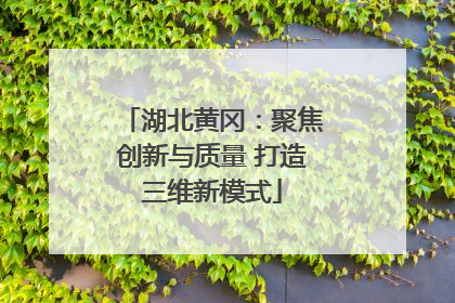 湖北黄冈：聚焦创新与质量 打造三维新模式