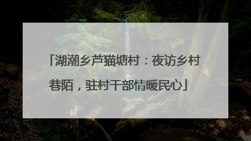 湖潮乡芦猫塘村：夜访乡村巷陌，驻村干部情暖民心