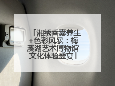 湘绣香囊养生+色彩风暴：梅溪湖艺术博物馆文化体验盛宴