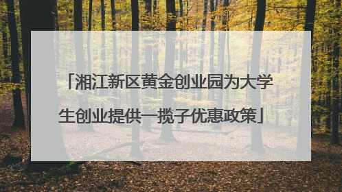 湘江新区黄金创业园为大学生创业提供一揽子优惠政策