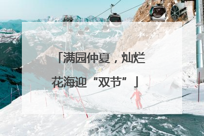 满园仲夏，灿烂花海迎“双节”