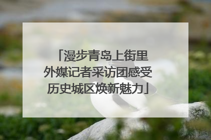 漫步青岛上街里 外媒记者采访团感受历史城区焕新魅力