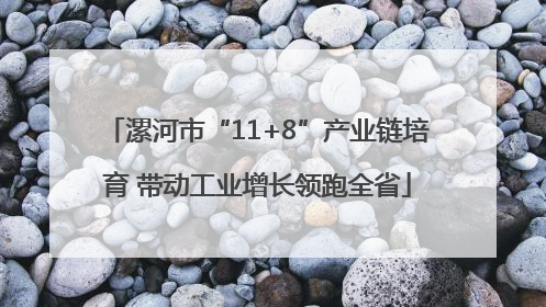 漯河市“11+8”产业链培育 带动工业增长领跑全省