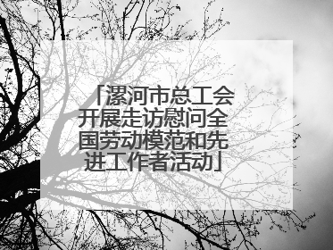 漯河市总工会开展走访慰问全国劳动模范和先进工作者活动