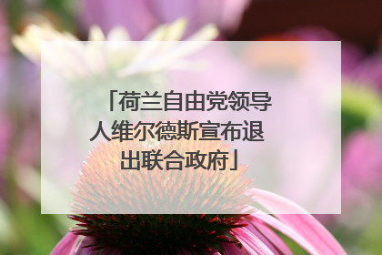 荷兰自由党领导人维尔德斯宣布退出联合政府