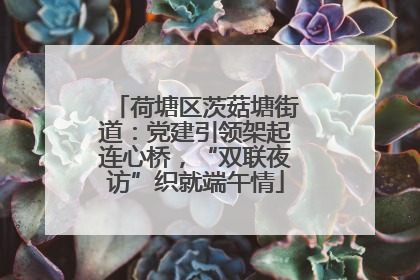 荷塘区茨菇塘街道：党建引领架起连心桥，“双联夜访”织就端午情