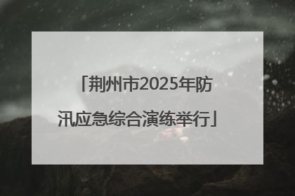 荆州市2025年防汛应急综合演练举行