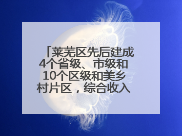 莱芜区先后建成4个省级、市级和10个区级和美乡村片区，综合收入超7亿元