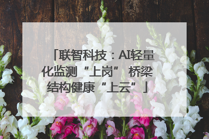 联智科技：AI轻量化监测“上岗” 桥梁结构健康“上云”