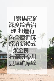聚焦尾矿深度综合治理 打造有色金属循环经济新模式 张金良一行调研栾川县尾矿库综合治理工作
