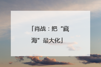 肖战：把“藏海”最大化