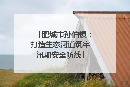 肥城市孙伯镇：打造生态河道筑牢汛期安全防线