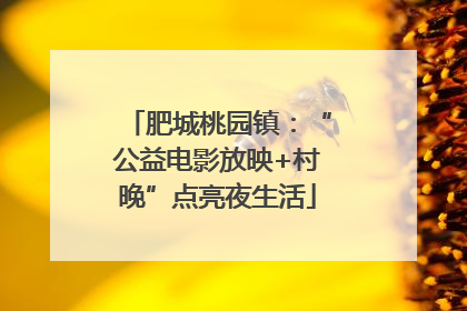 肥城桃园镇：“公益电影放映+村晚”点亮夜生活