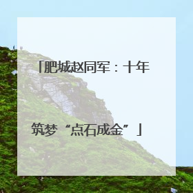 肥城赵同军：十年筑梦“点石成金”