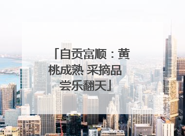自贡富顺：黄桃成熟 采摘品尝乐翻天
