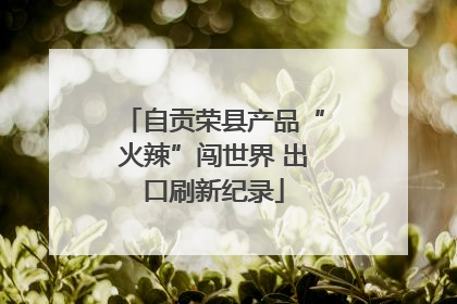自贡荣县产品“火辣”闯世界 出口刷新纪录